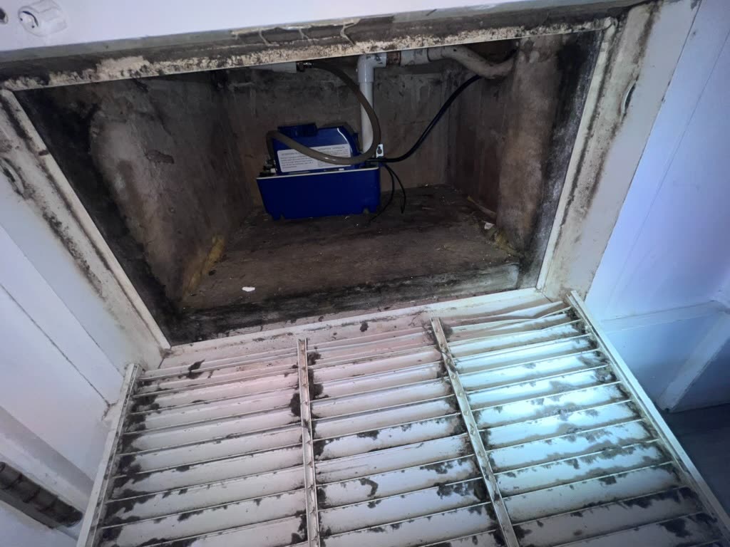 Overhead view into HVAC platform cavity showing extensive dark mold staining around condensate pump in Coral Gables, Florida home