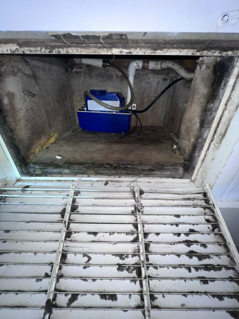 Condensate pump inside contaminated HVAC platform cavity with visible mold staining on plywood decking