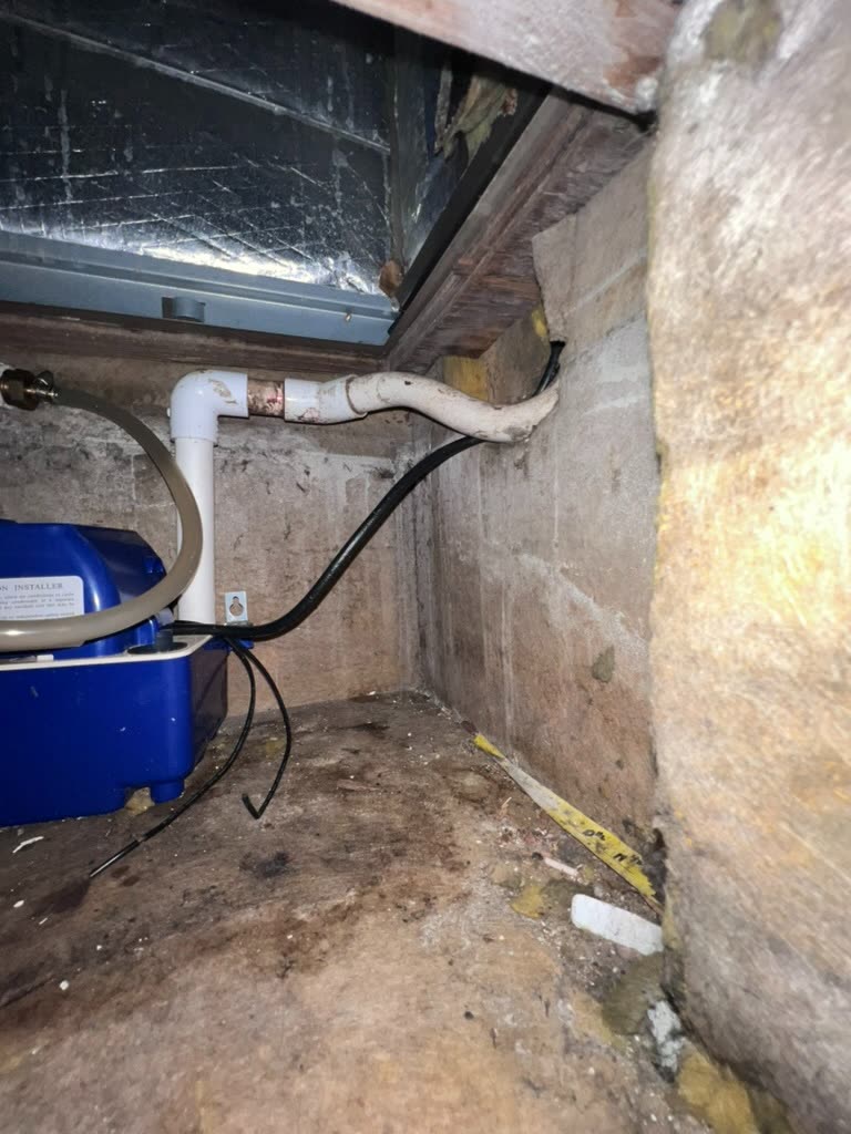 Dark microbial growth on framing and plywood inside HVAC air handler platform cavity