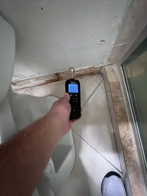 Pin-type moisture meter verifying water intrusion near a shower window frame in Weston, FL
