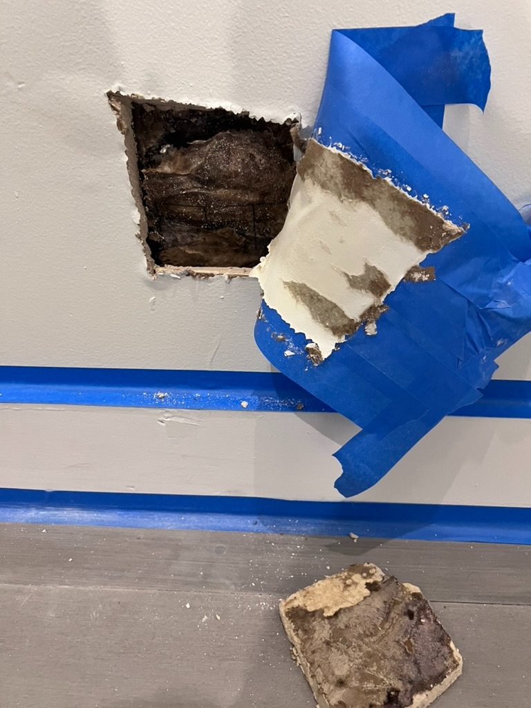 Wall section opened during a mold investigation revealing dark mold growth on interior drywall and insulation behind blue tape