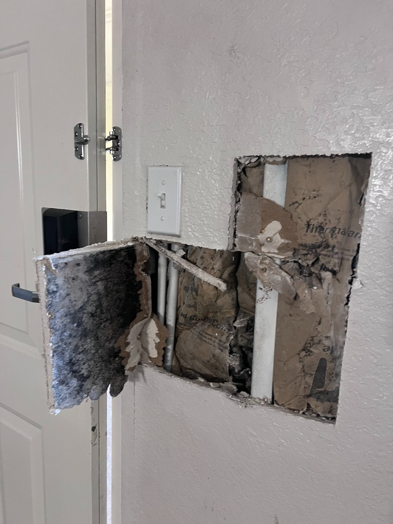 Wall cut open during mold investigation exposing heavily mold covered drywall and pipes inside the wall cavity