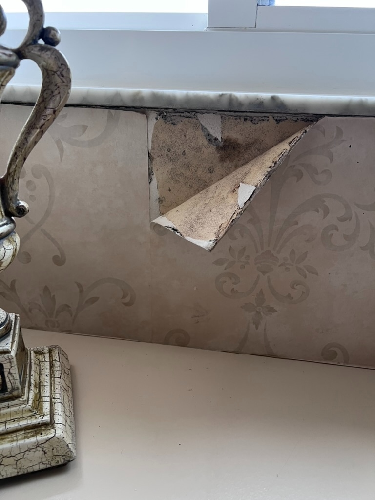 Mold growth behind wallpaper revealed during inspection in Broward County, FL