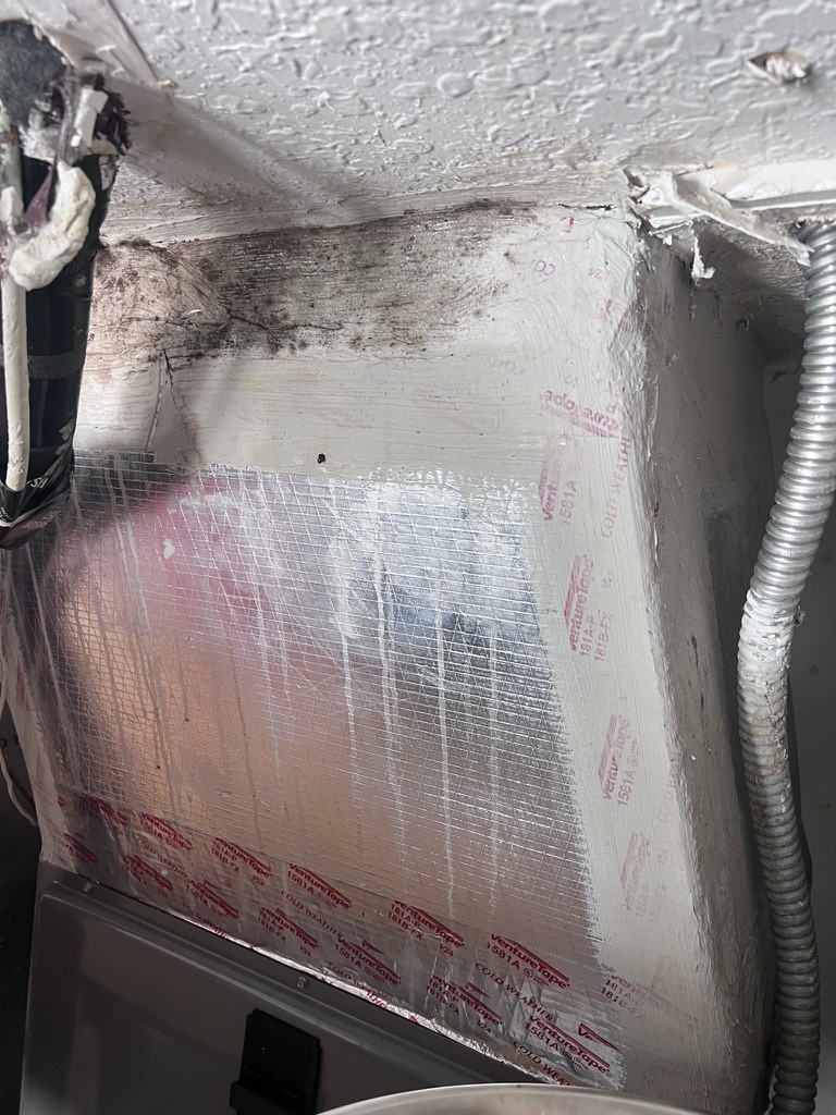 Corner view of the plenum insulation panel showing extensive dark mold growth concentrated at the top seam where it meets the ceiling
