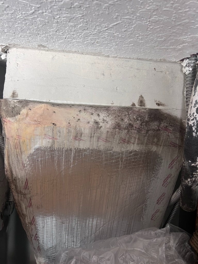 Full panel view of the HVAC plenum insulation showing mold growth running along the entire top seam where the panel meets the ceiling