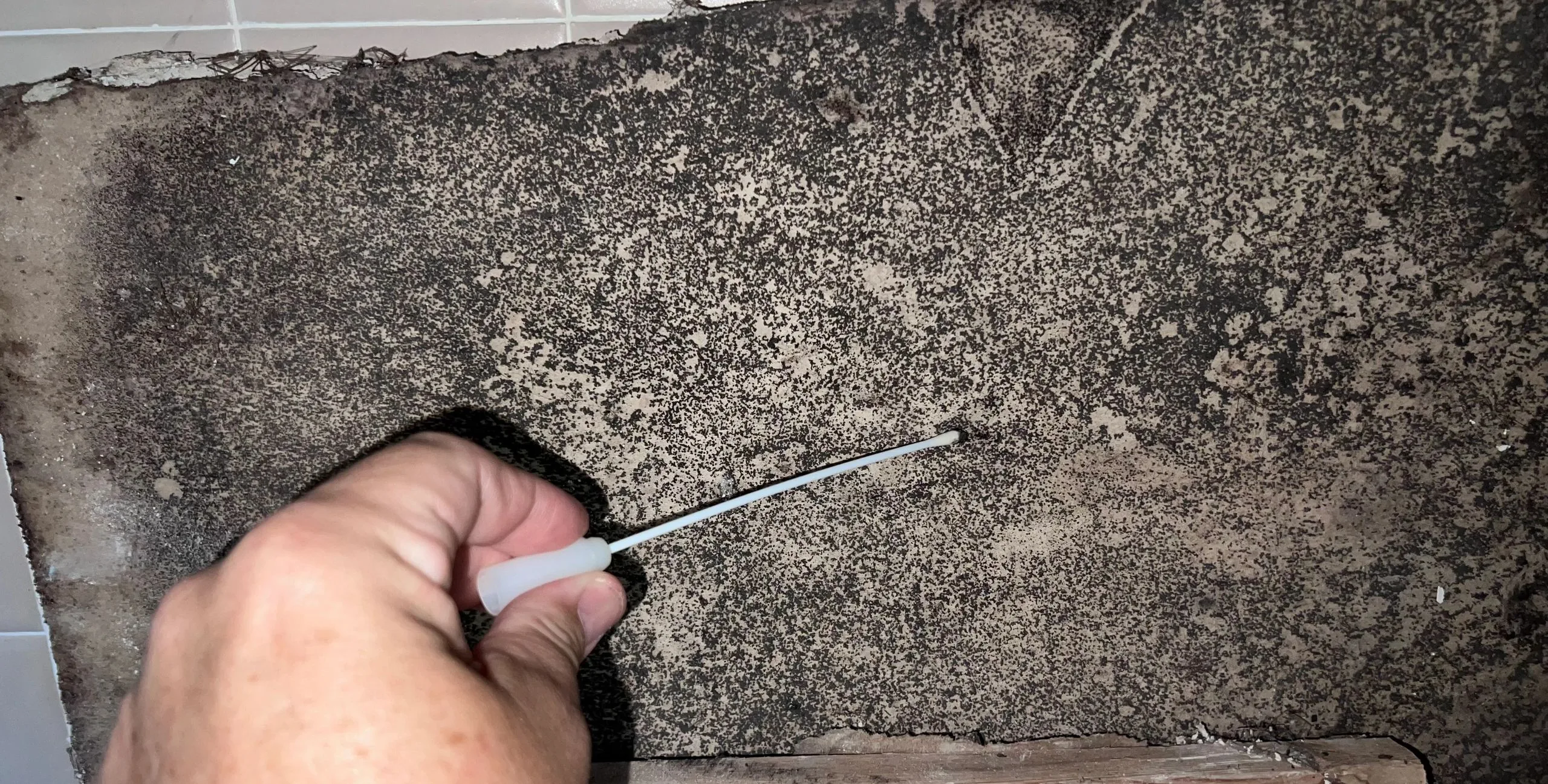 HVAC system mold inspection with endoscope camera in Broward County, FL