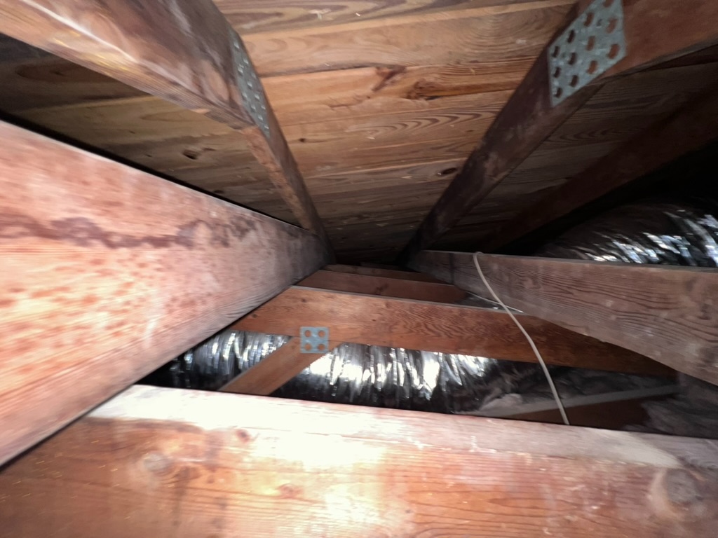 Attic roof deck staining from a hurricane wind-driven rain case study in Parkland